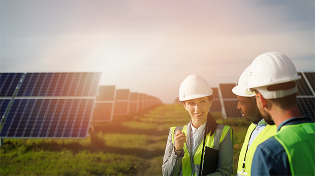 PV plant field inspection review with customer