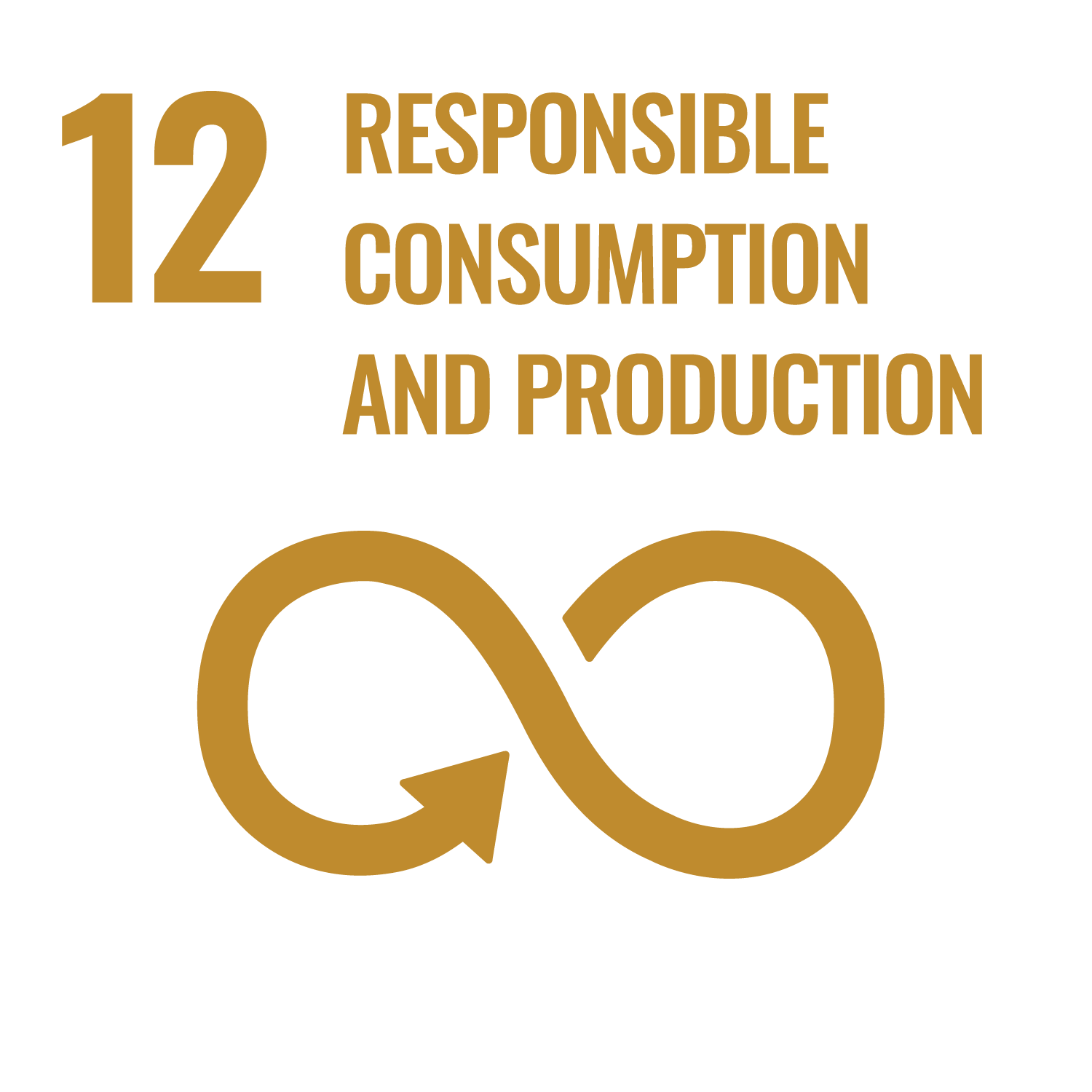 SDG Icon 12