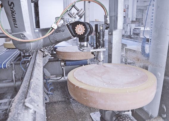 Robot removes rind quickly and precisely ofr automated derinding of cheese application