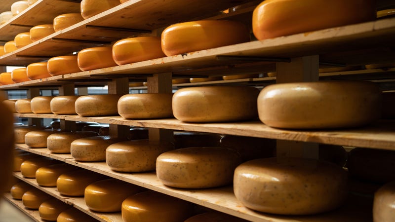 Cheese Visual