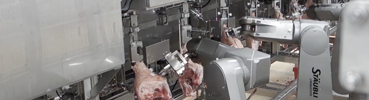 Deboning with robots in processing meat