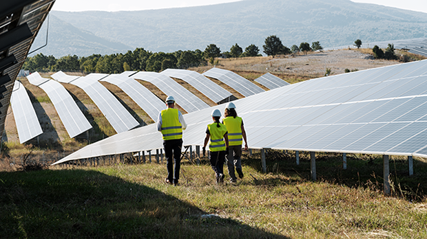 large-scale PV plant with Stäubli experts