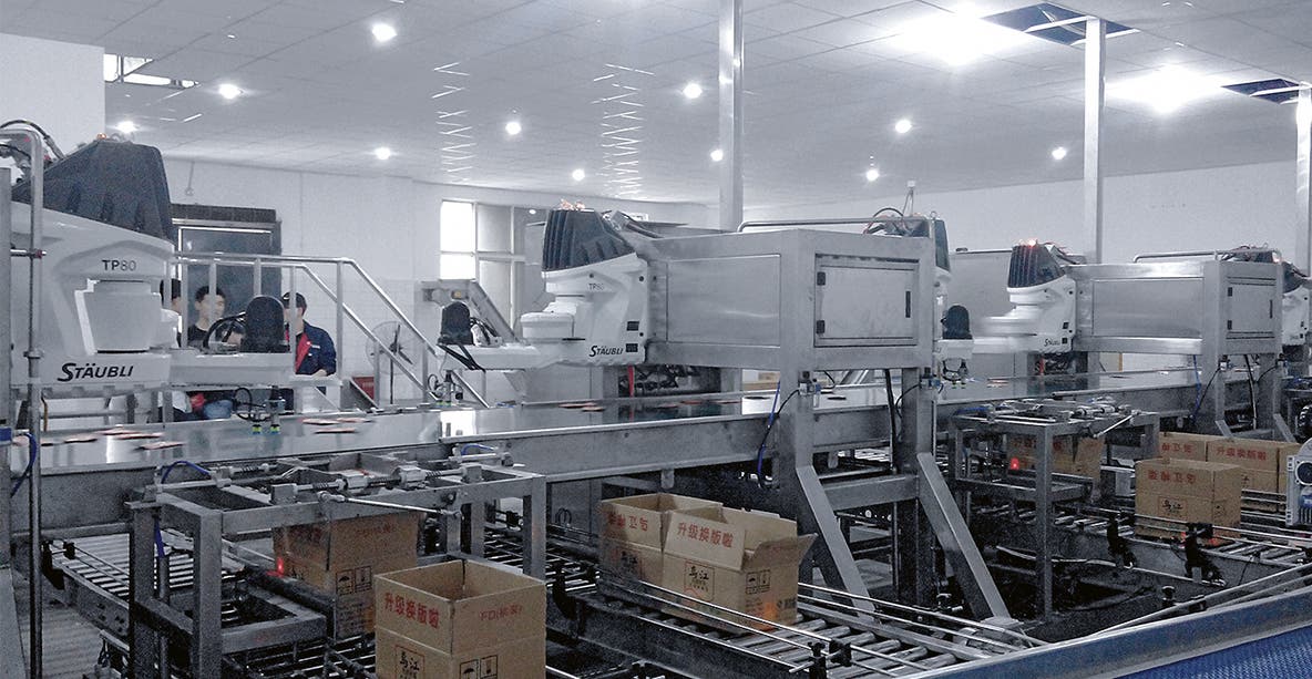 The sorting and packing of pickles is performed on a central conveyor belt with multiple Stäubli TP80 robots operating in series.