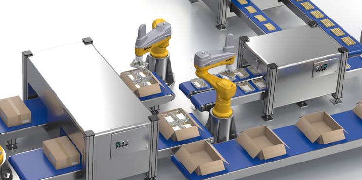 Hard Cheese Production Line: Process