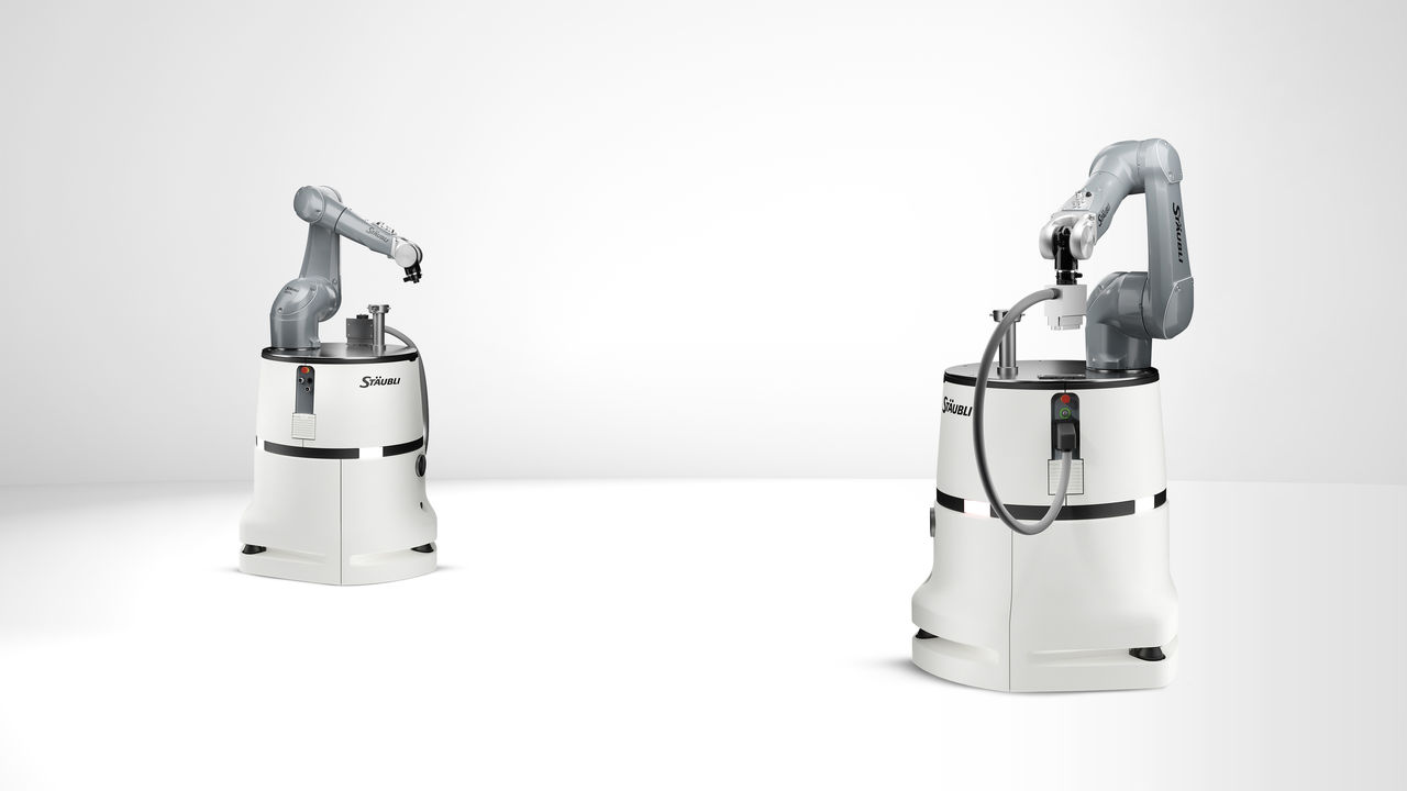 HelMo the Mobile Robot System
